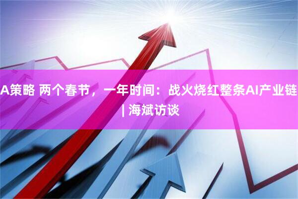A策略 两个春节，一年时间：战火烧红整条AI产业链 | 海斌访谈